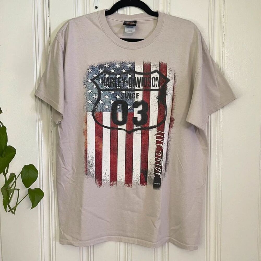 Harley-Davidson Men Light Gray Graphic American Flag Simi Valley CA T-Shirt Sz L